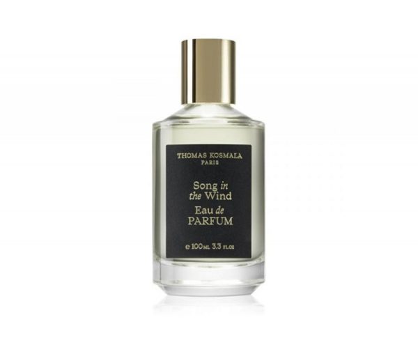 Thomas Kosmala Song In The Wind EDP